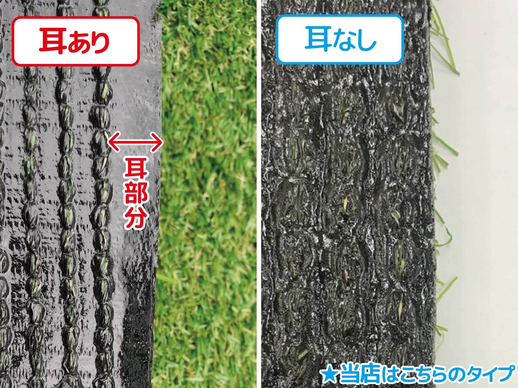 耳が付いた人工芝