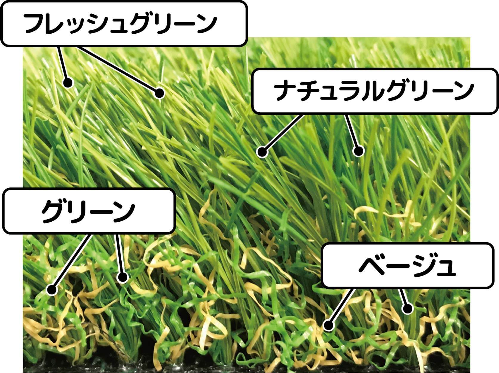パイルの色
