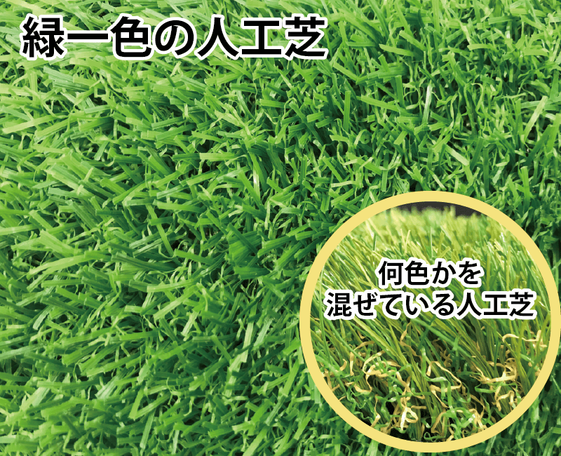 芝が真っすぐで緑1色