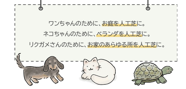 ワンちゃん、ネコちゃん、リクガメさん・・・