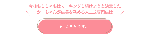 人工芝専門店はこちら