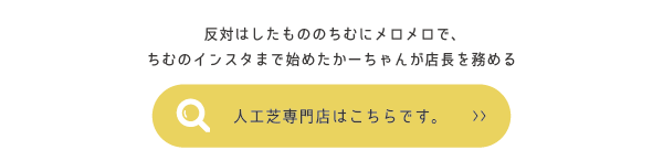 店長を務める人工芝専門店はこちら