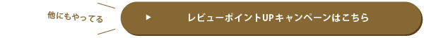 他にもやってるレビューポイントUPキャンペーンはこちら