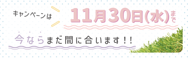  今ならまだ間に合います！