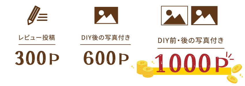 レビュー投稿