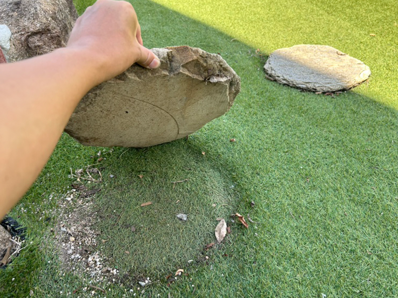 人工芝の上に重い物が載っている2