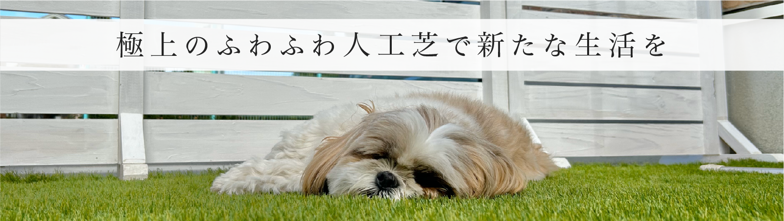 極上のふわふわ人工芝で新たな生活を