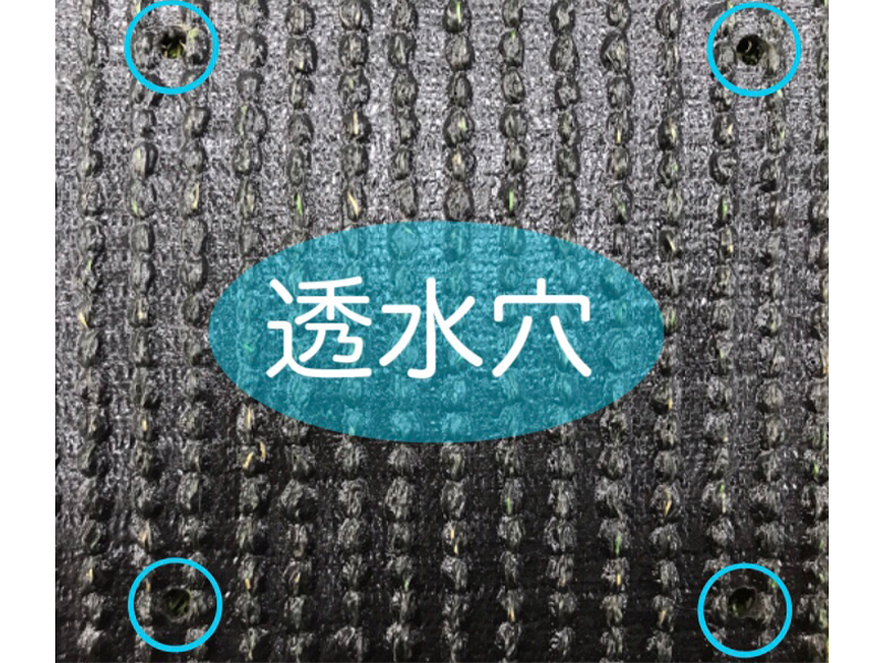 機能面