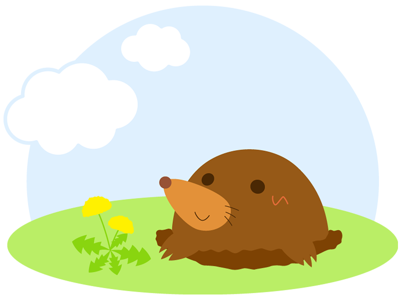 どんな生き物?
