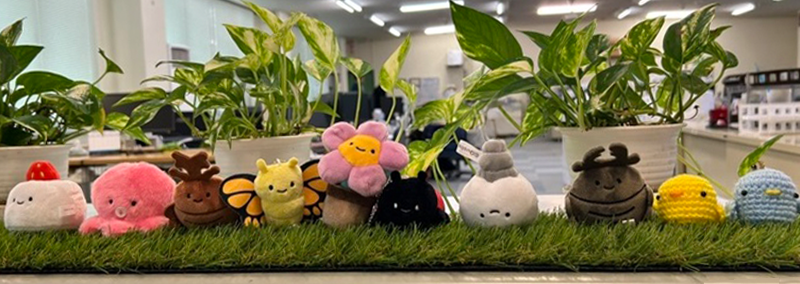 社内オフィスに飾られた人工芝