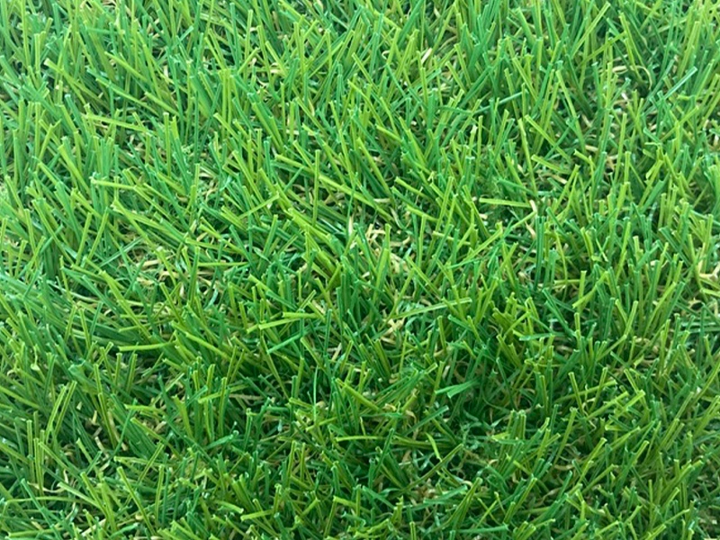 パイルがC型の人工芝