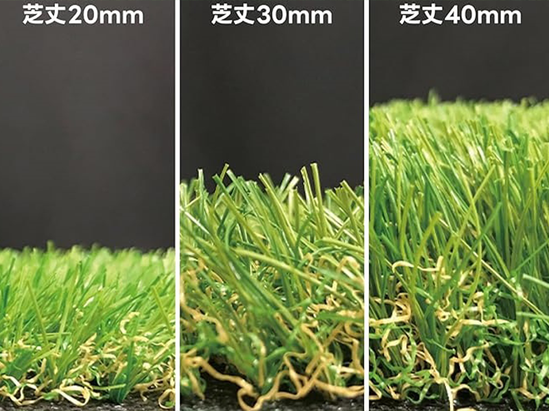 安全性と快適性を考慮したおすすめの芝丈1
