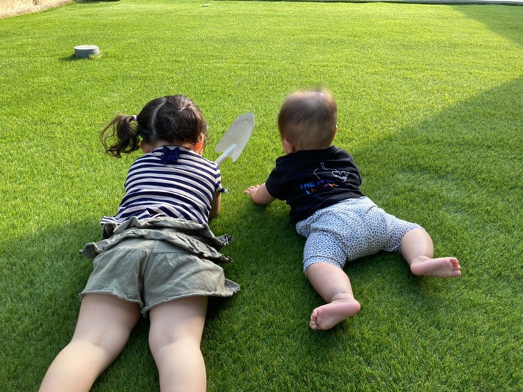 機能性の良い人工芝