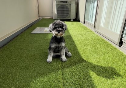 カレナ様　ベランダ