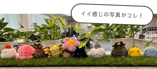 イイ感じの写真がコレ!