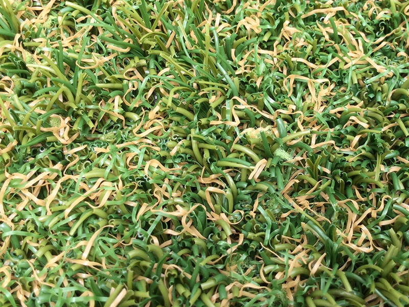 反射熱による表面芝の縮み2