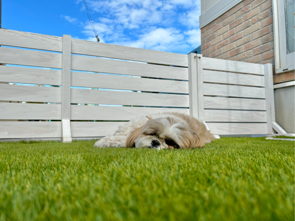 今月のおすすめ記事写真