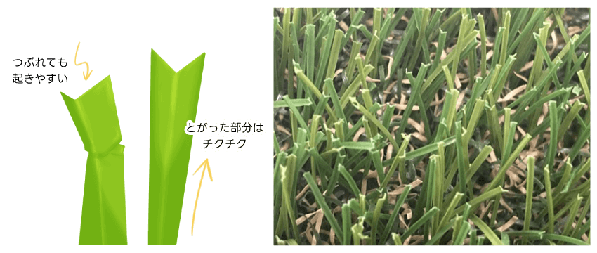 人工芝の種類と比較 | 人工芝専門店ふわふわターフ
