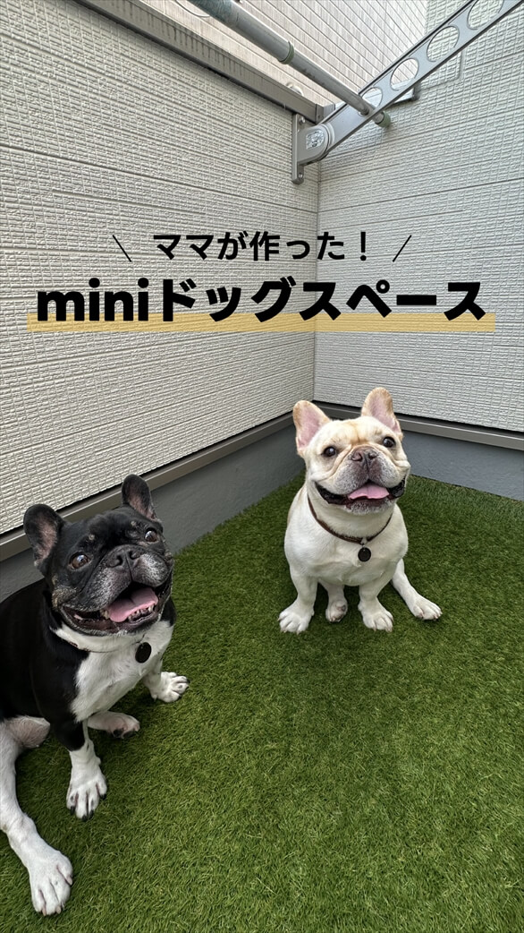 今月の事例写真