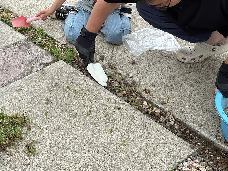 砂利を取り除く