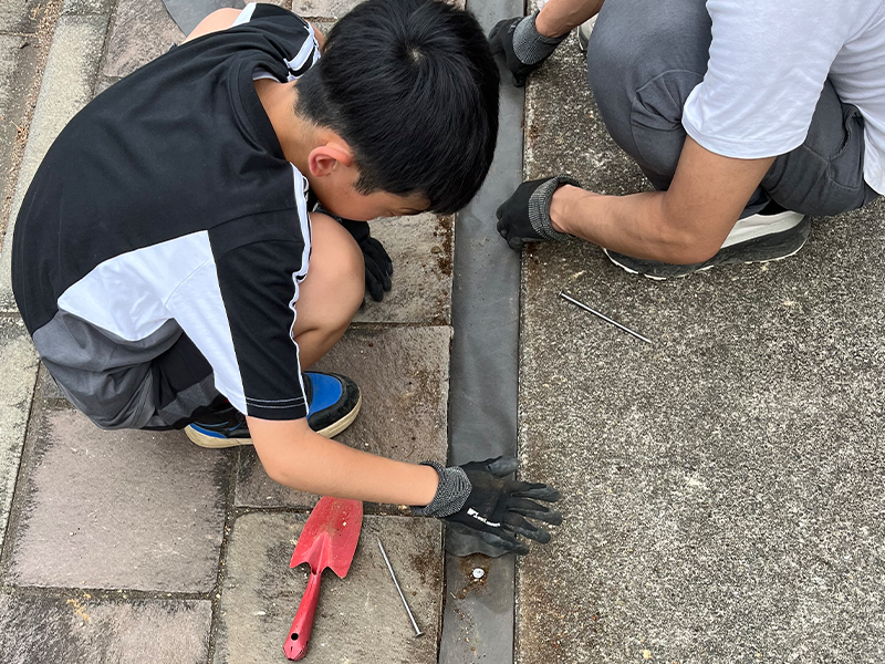 防草シートの設置