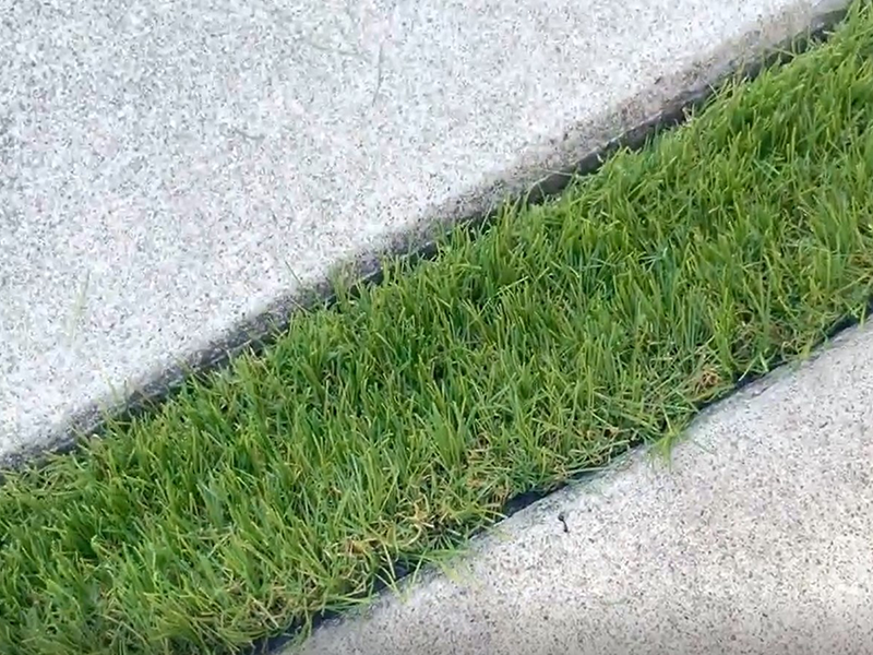 芝を立てた目地用人工芝1