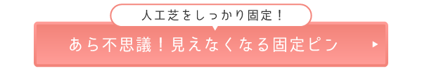 見えなくなる固定ピン