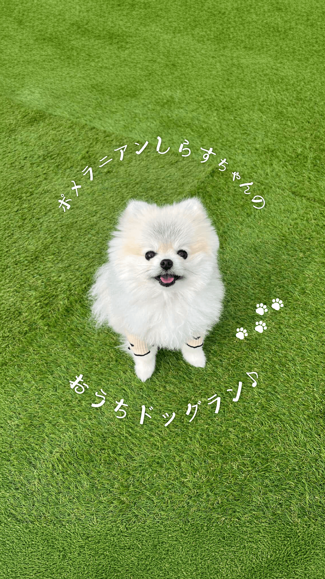 今月の事例写真